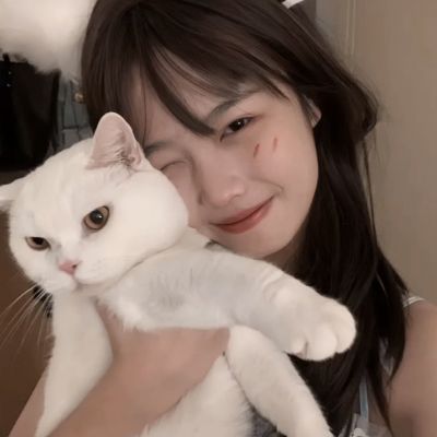 吹动三国bt变态版下载